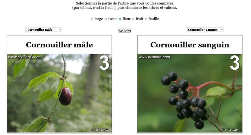 le comparateur